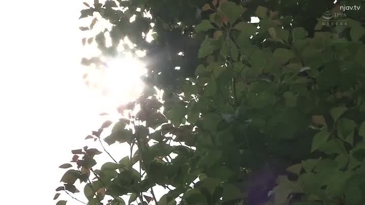 yy_JUQ-541_JUQ-541一名已婚妇女收到了一把重复的钥匙，她独自住在一个房间里，一名男学生在毕业前一直被体内射精。.明里-明里.