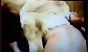 [无码] 兽交癖骚货求后入狂干 淫穴爆操内射